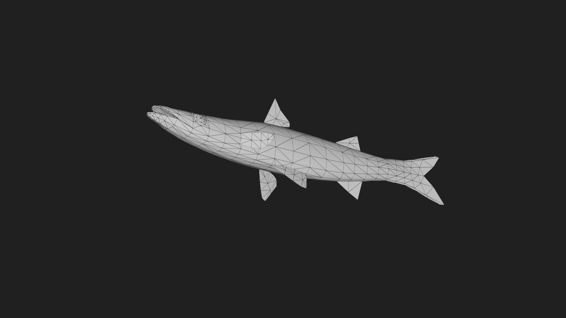 Bicuda Low-poly 3D model_3