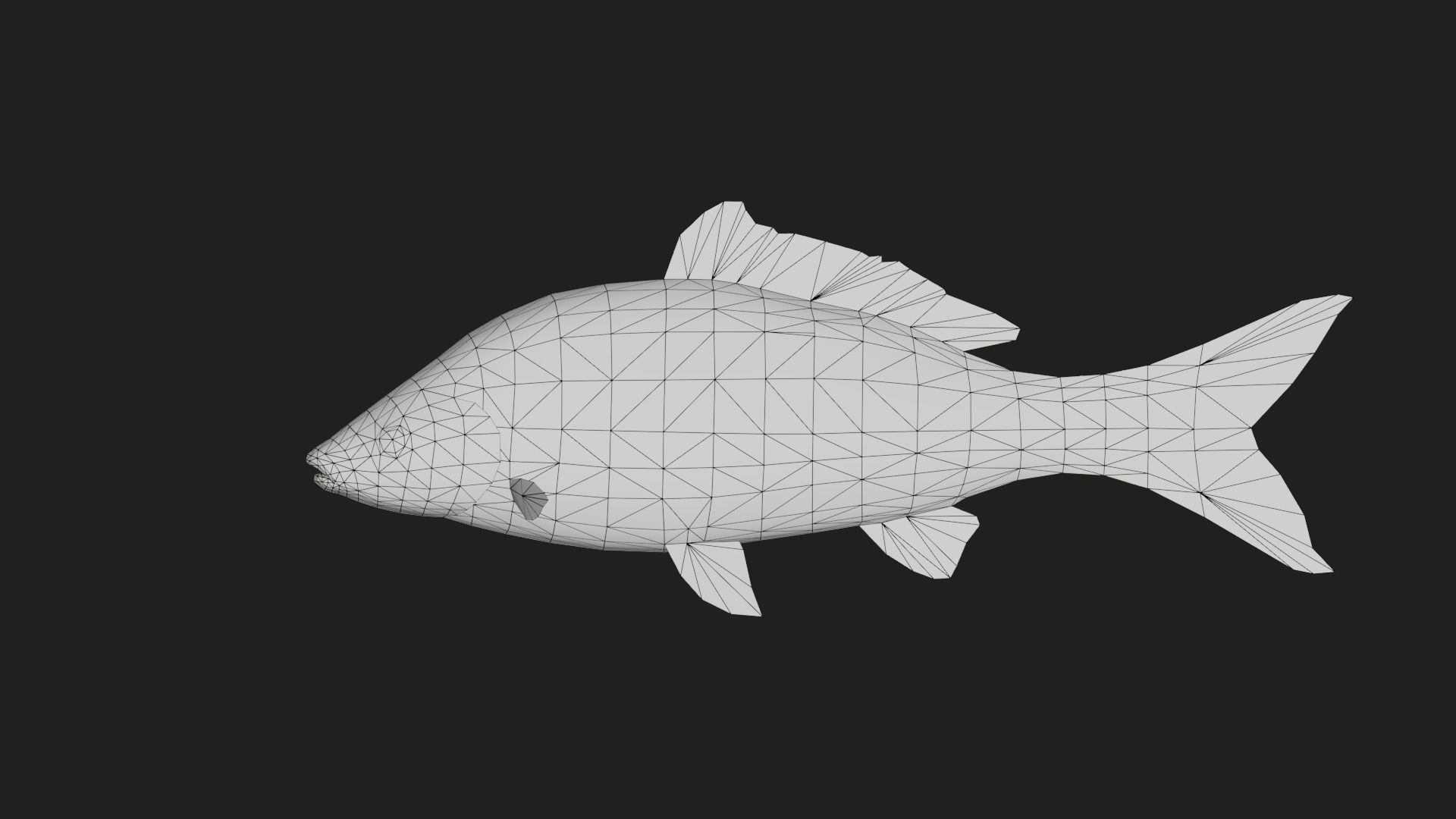 Carp fish Low-poly 3D model_1