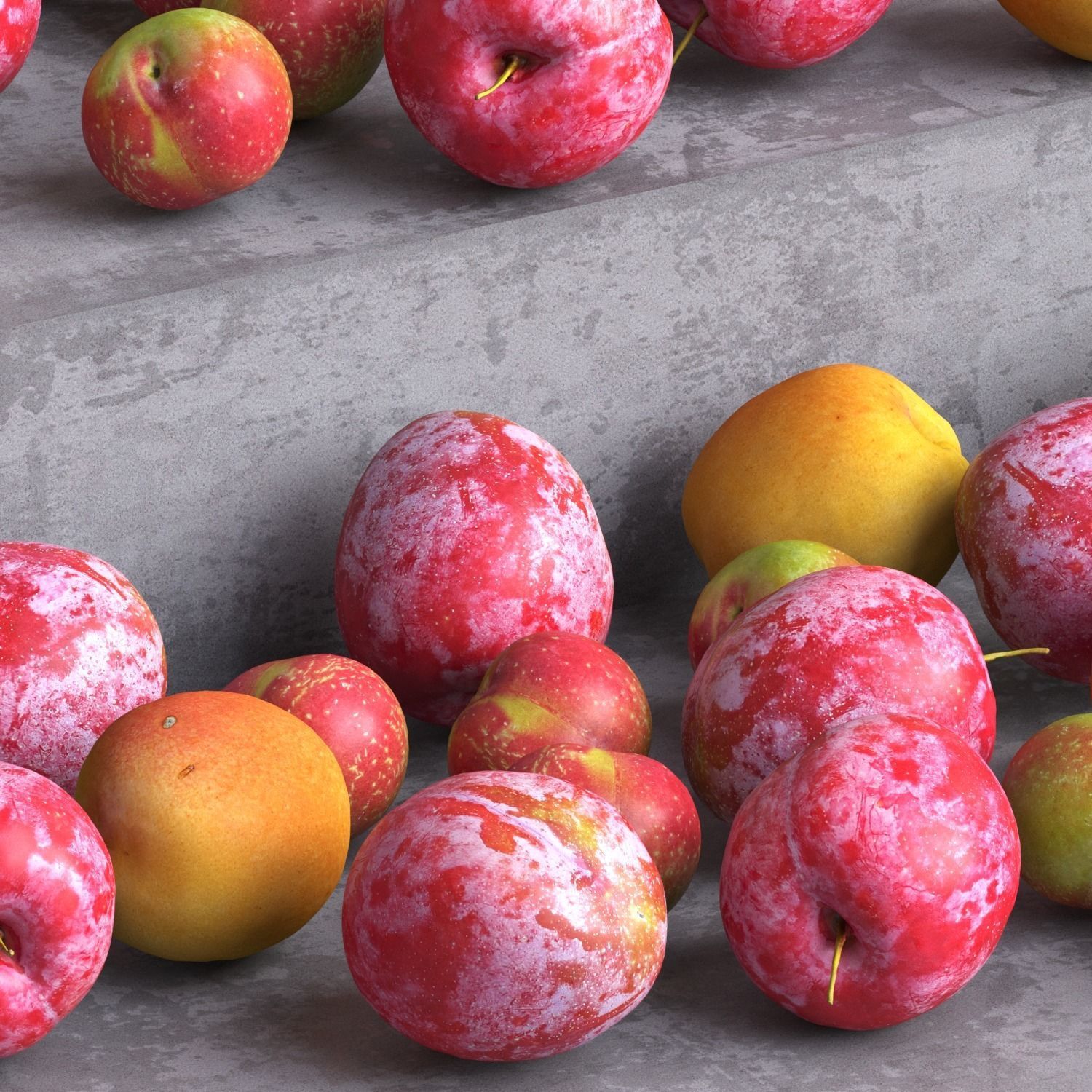 Red plum - Apricots - Plum Low-poly 3D model_1