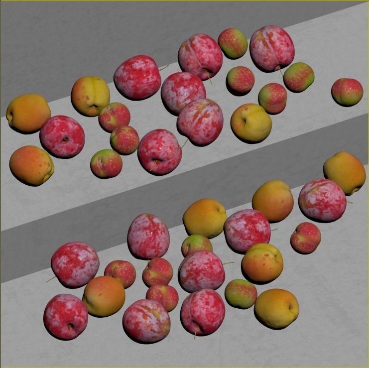 Red plum - Apricots - Plum Low-poly 3D model_9