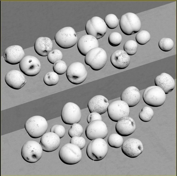 Red plum - Apricots - Plum Low-poly 3D model_8