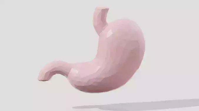 Pink low poly organ stomach 
