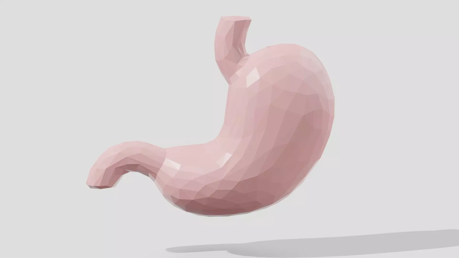 Pink low poly organ stomach Low-poly 3D model