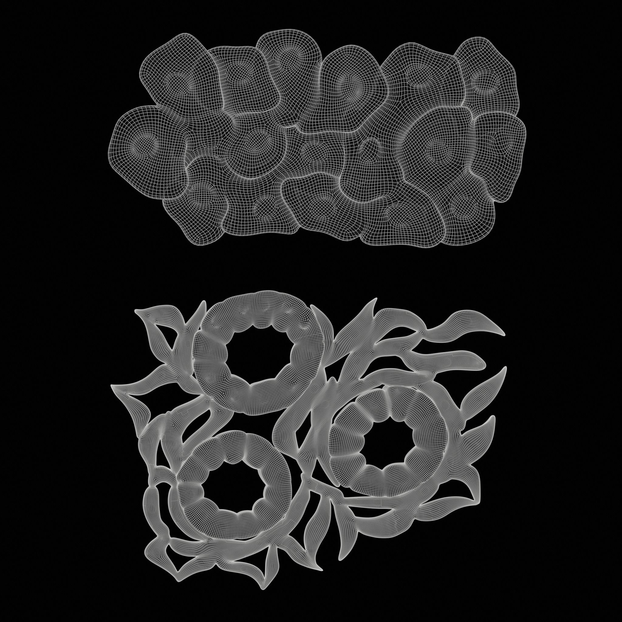 Epithelial Tissues 3D model_8