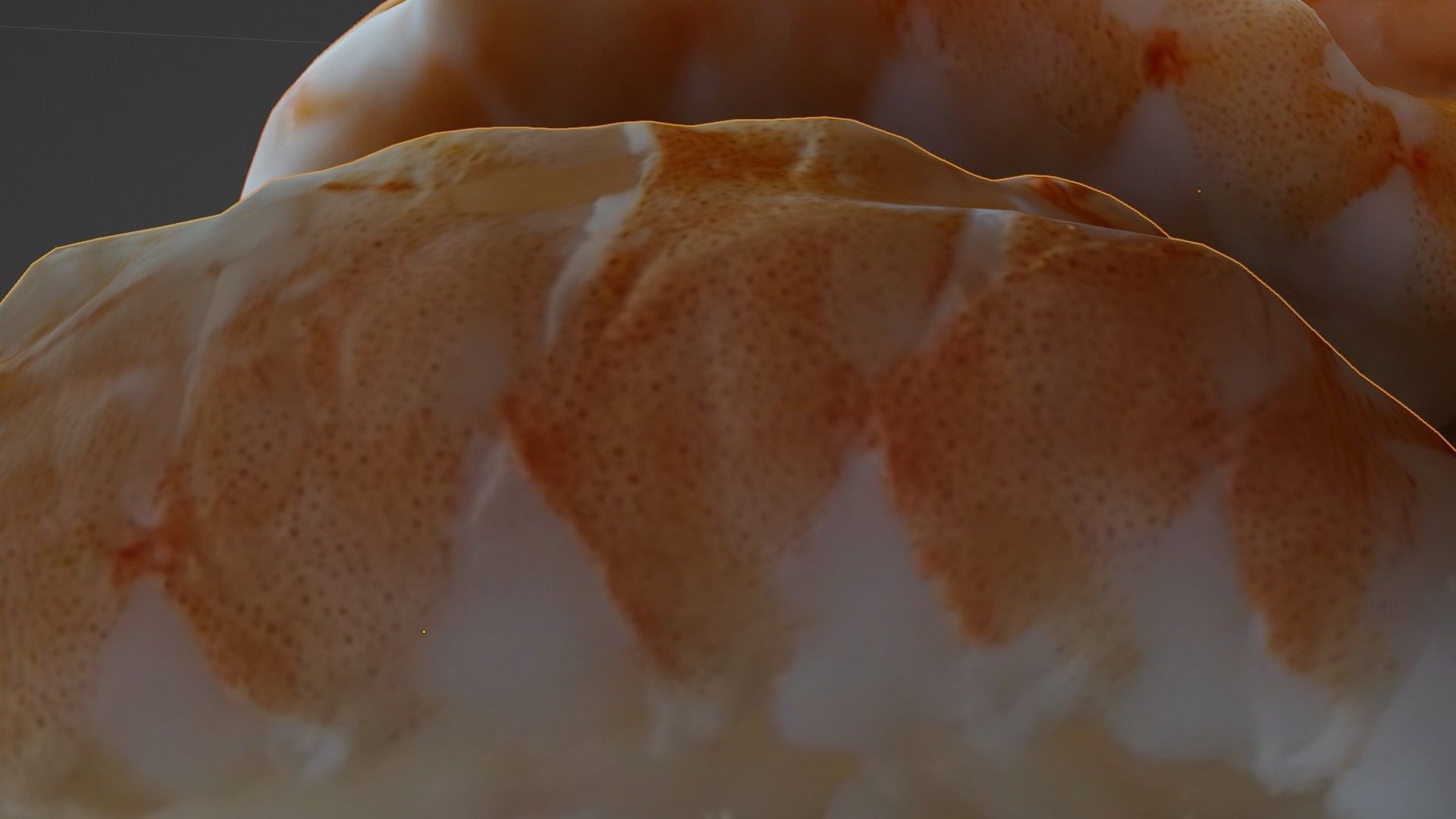 Sushi Delight 3D Scanned Shrimp Nigiri Low-poly 3D model_54