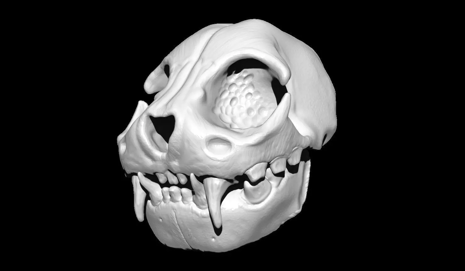 Creature Skull 3D print model_0