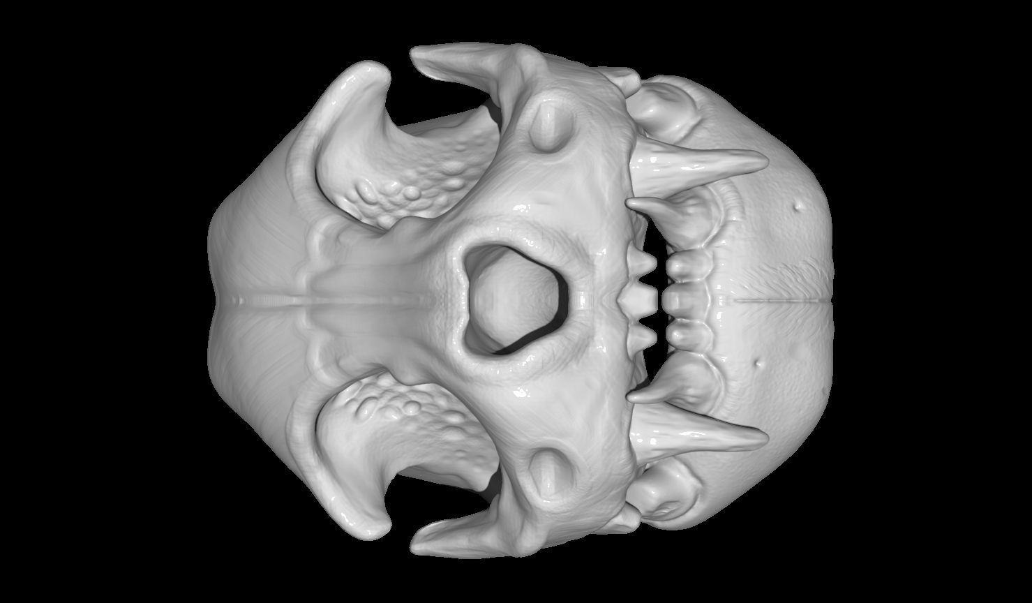 Creature Skull 3D print model_4