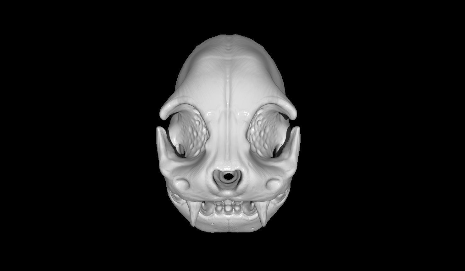 Creature Skull 3D print model_6