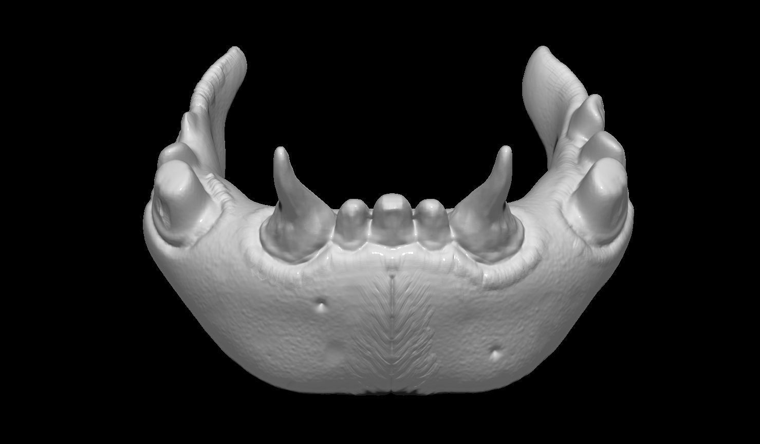 Creature Skull 3D print model_12