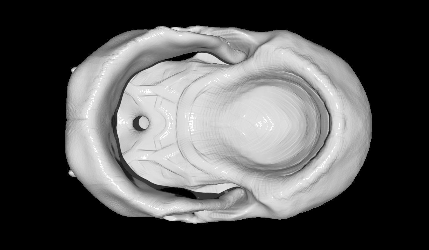 Creature Skull 3D print model_13