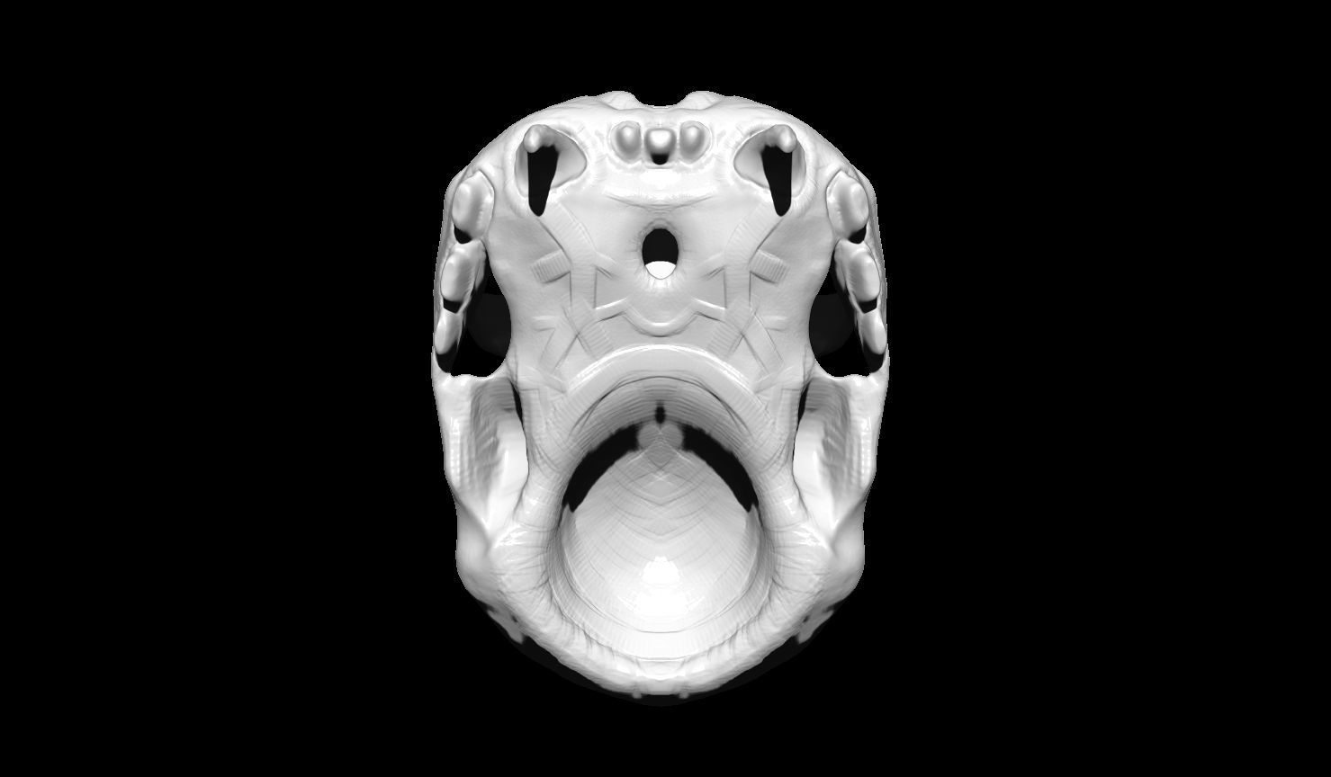 Creature Skull 3D print model_9