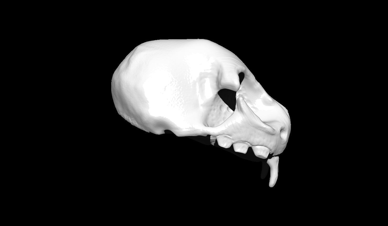 Creature Skull 3D print model_8
