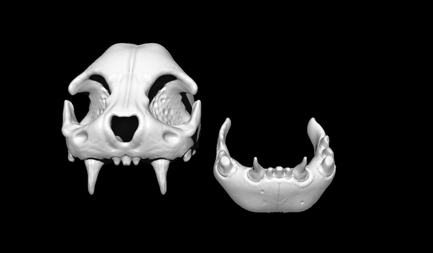 Creature Skull 3D print model_3
