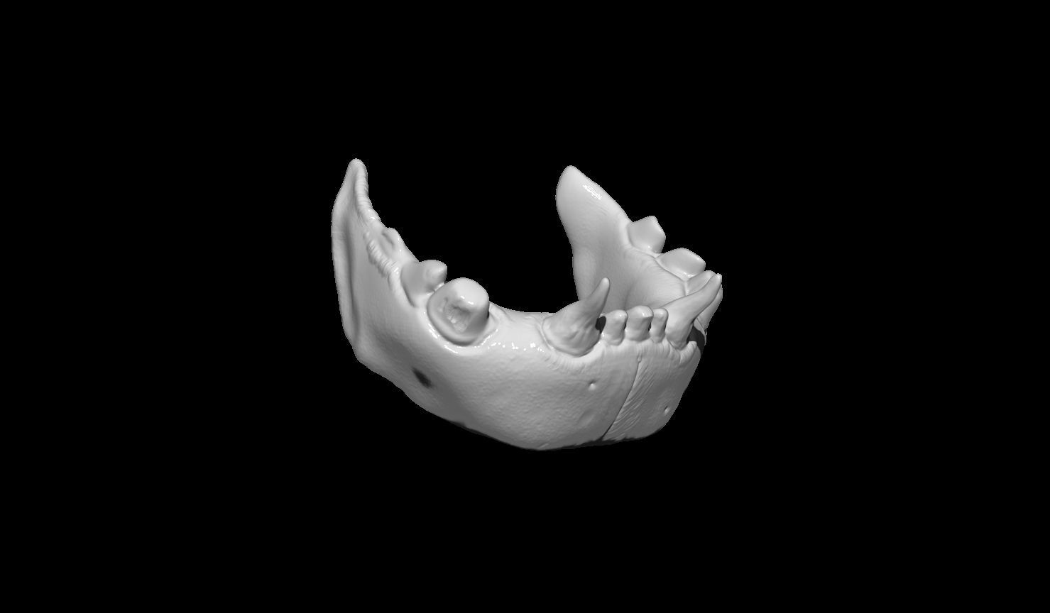 Creature Skull 3D print model_11