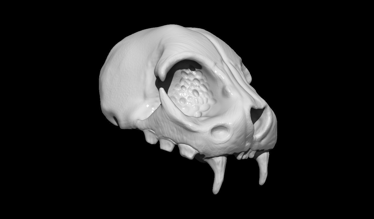 Creature Skull 3D print model_10