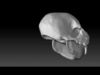 Creature Skull 3D print model_1