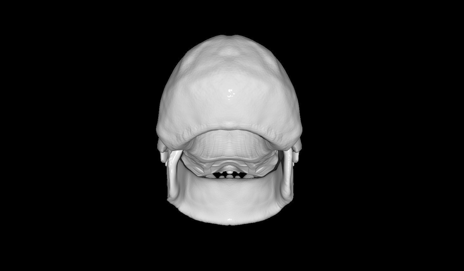 Creature Skull 3D print model_5