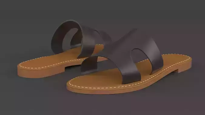Slide Sandal 3D model