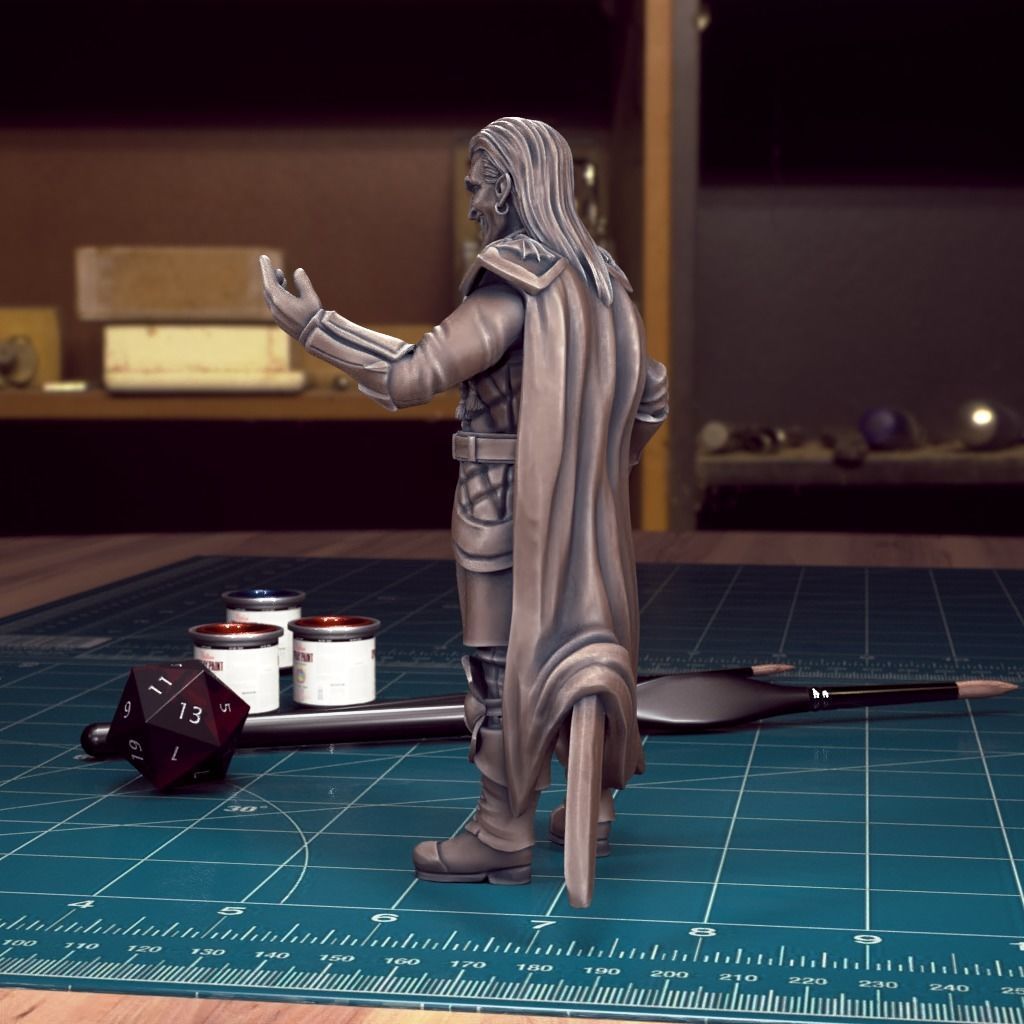 Curse of Strahd - Strahd - Pre-Supported 3D print model