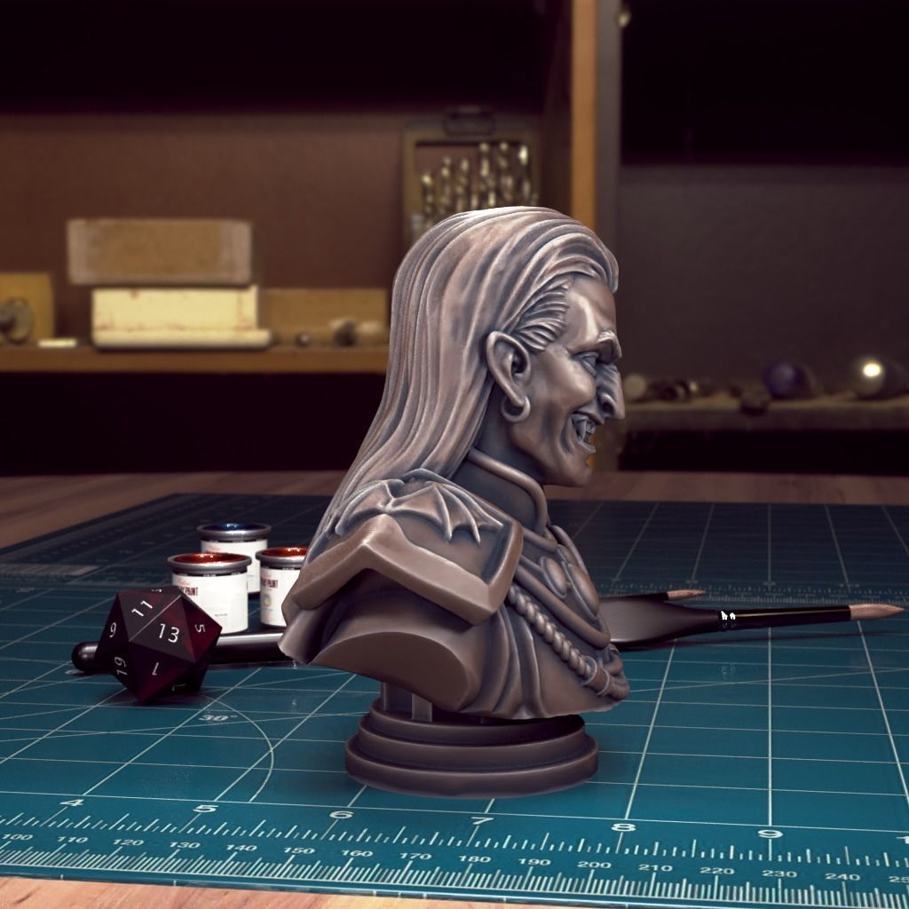 Curse of Strahd - Bust Pack 03 - Pre-Supported  3D print model_15