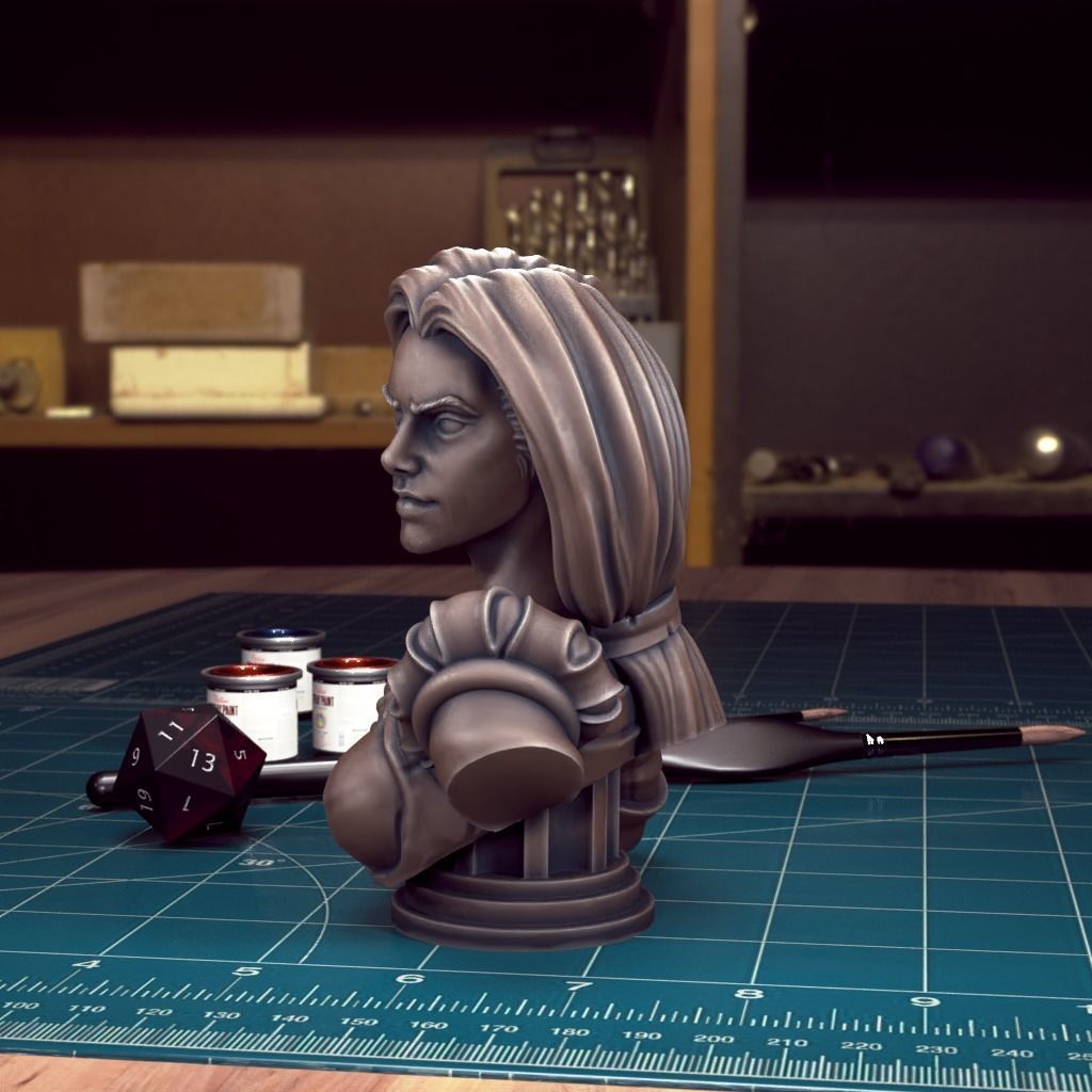 Curse of Strahd - Bust Pack 03 - Pre-Supported  3D print model_8