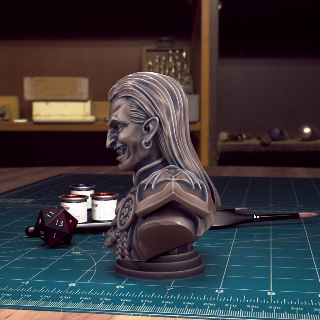 Curse of Strahd - Bust Pack 03 - Pre-Supported  3D print model_13