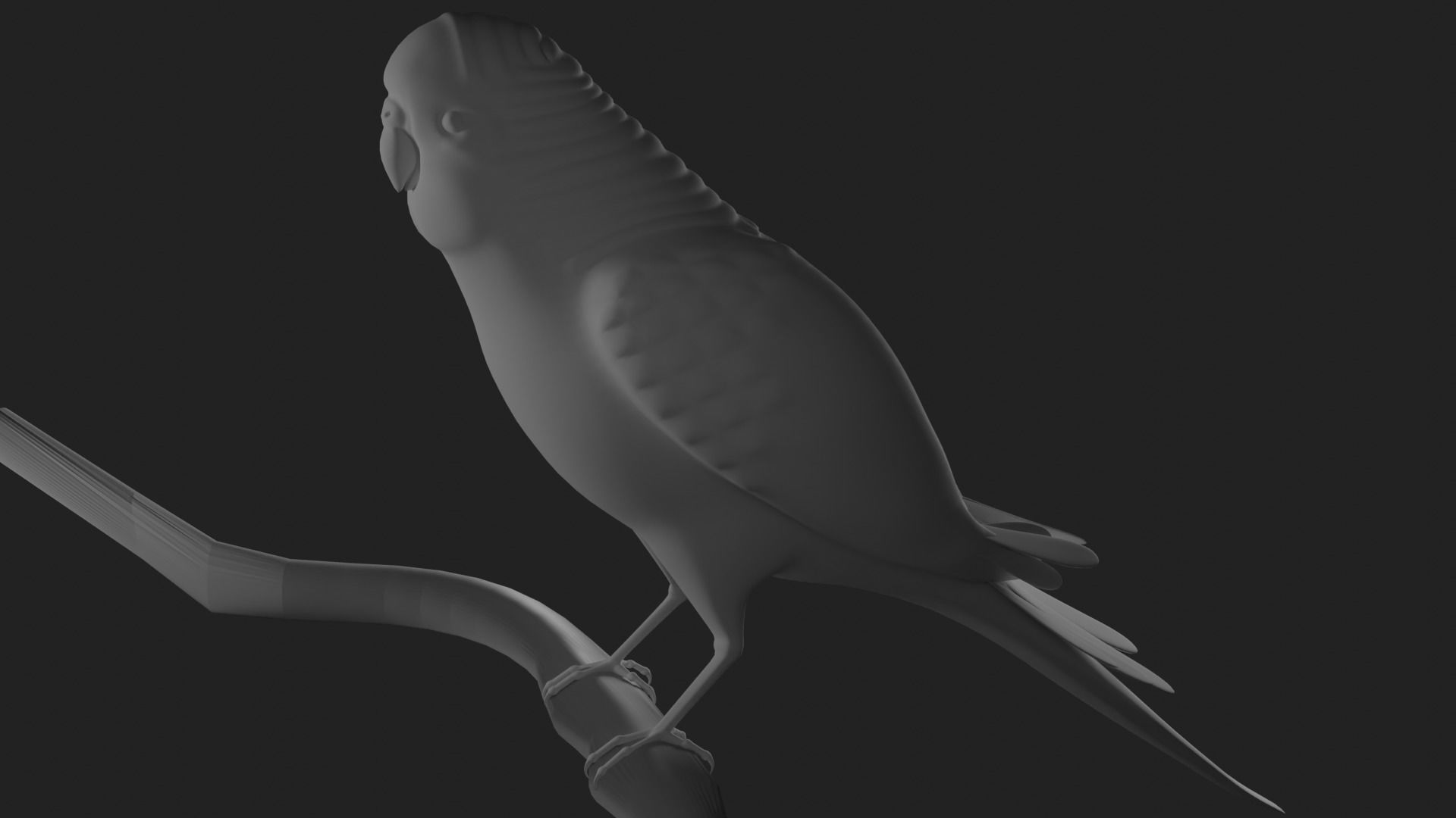  sitting parrot  3D print model_1