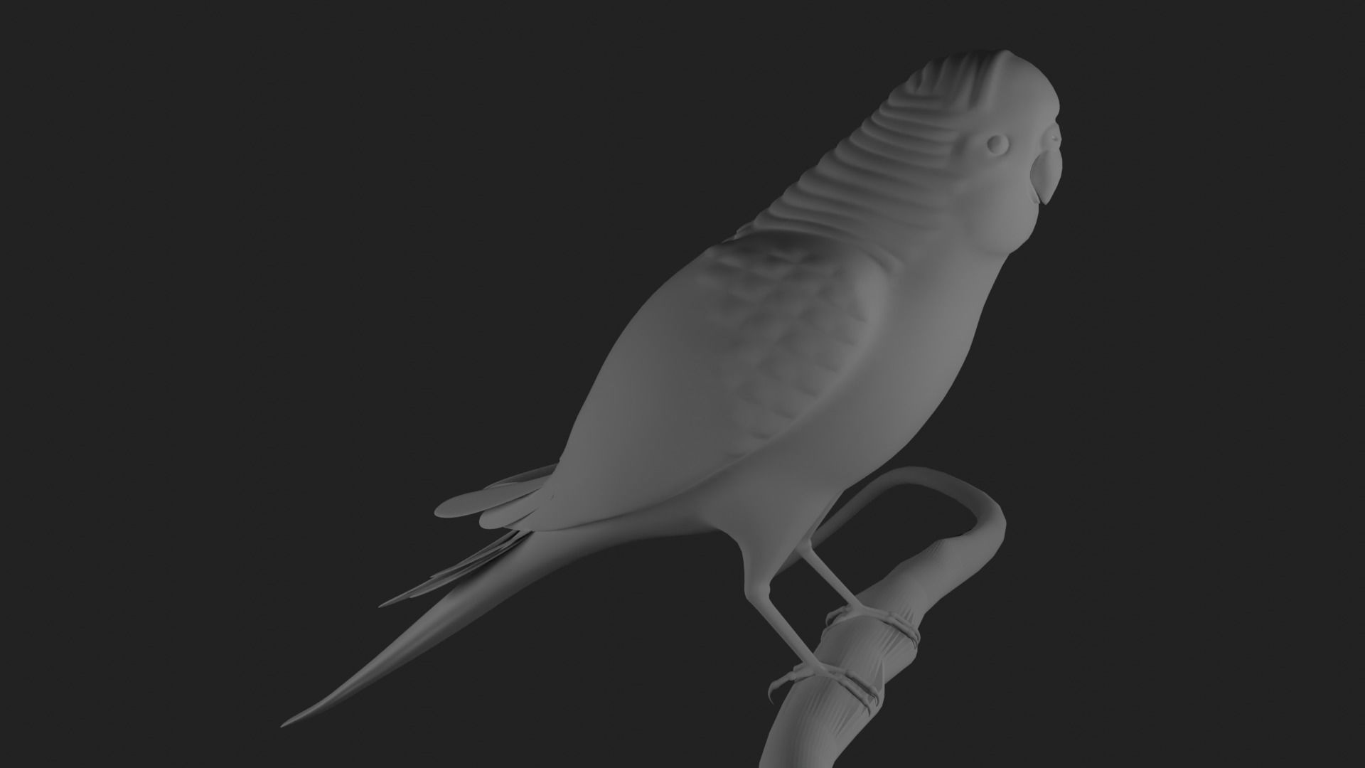  sitting parrot  3D print model_2