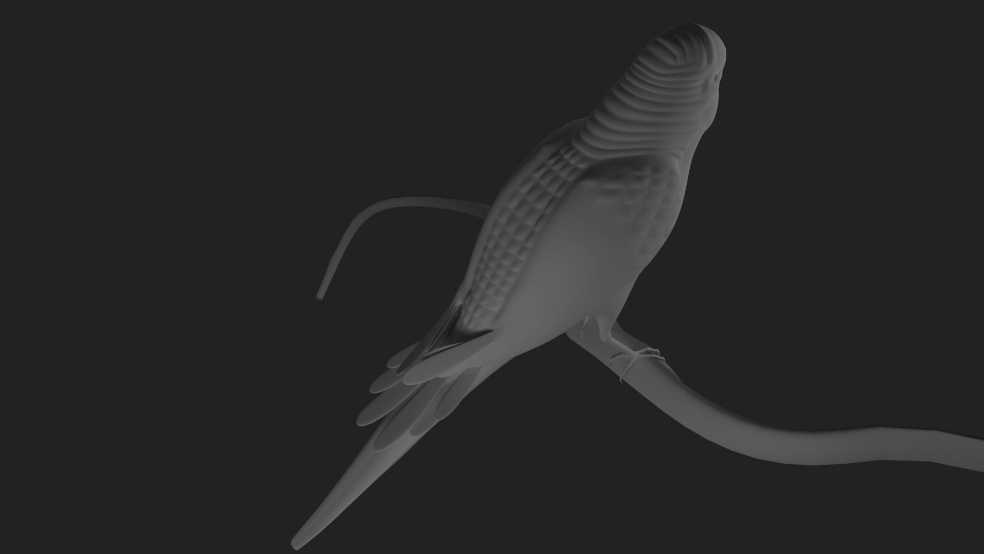  sitting parrot  3D print model_4