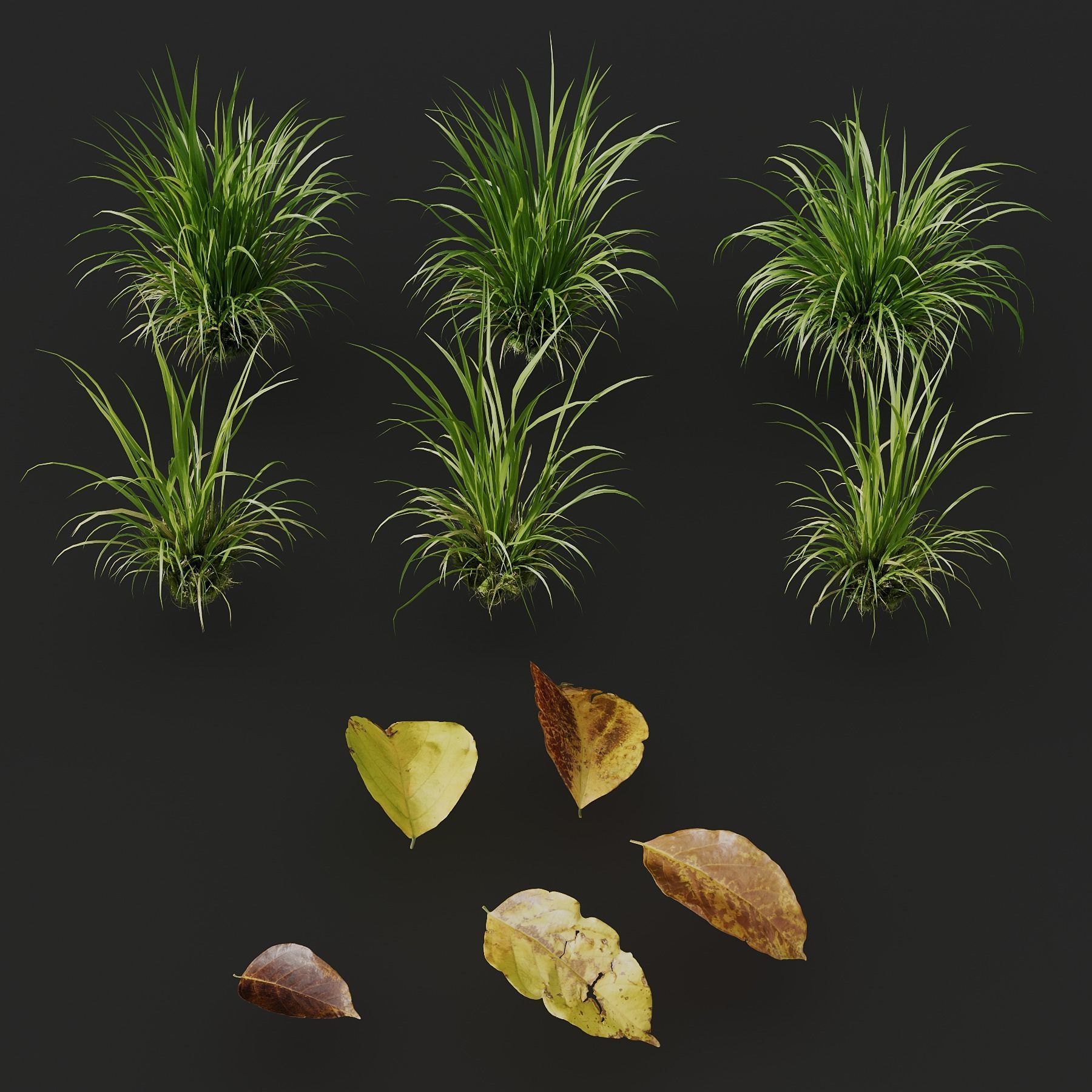 Grass Linear Meadow 3D model_2