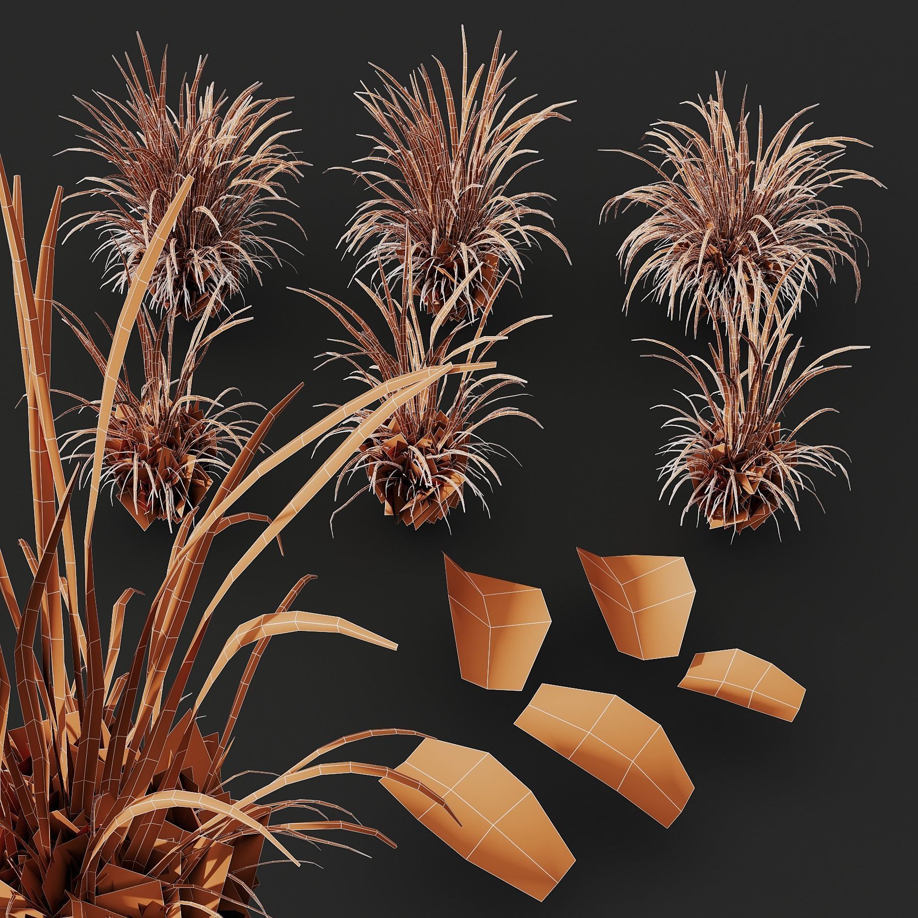 Grass Linear Meadow 3D model_3