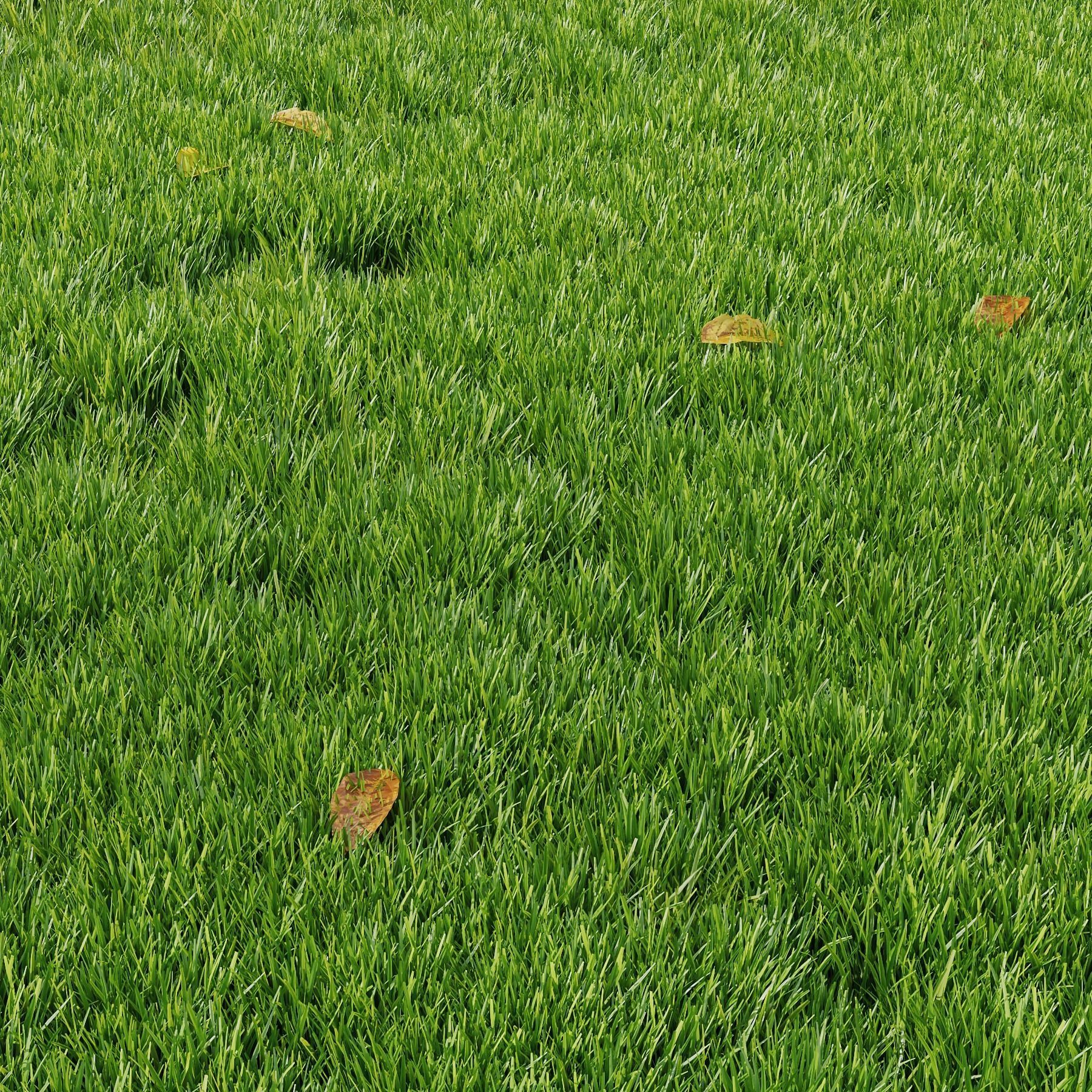 Grass Park Summer 3D model_1