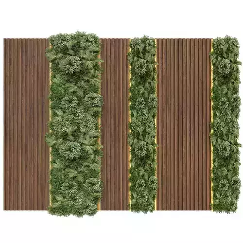Wood pannel with plants