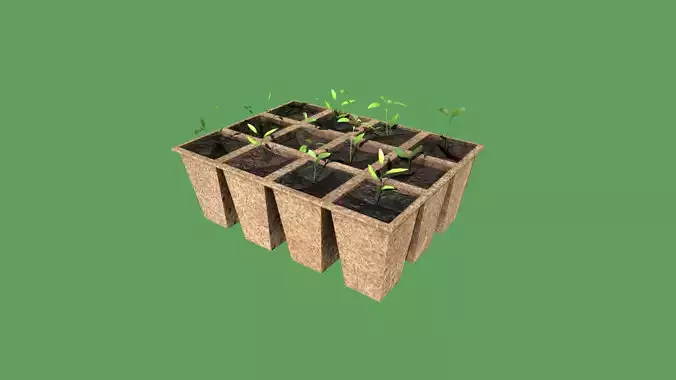 Peat Pots