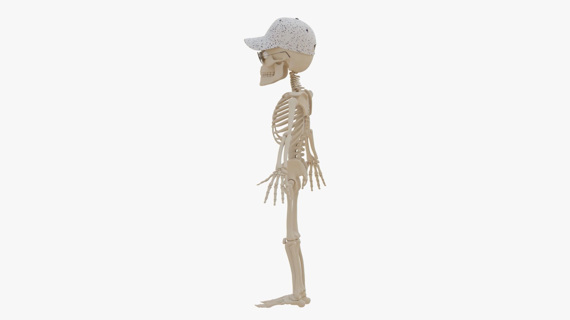 Stylized Human Skeleton Fully Rigged 3D model_57