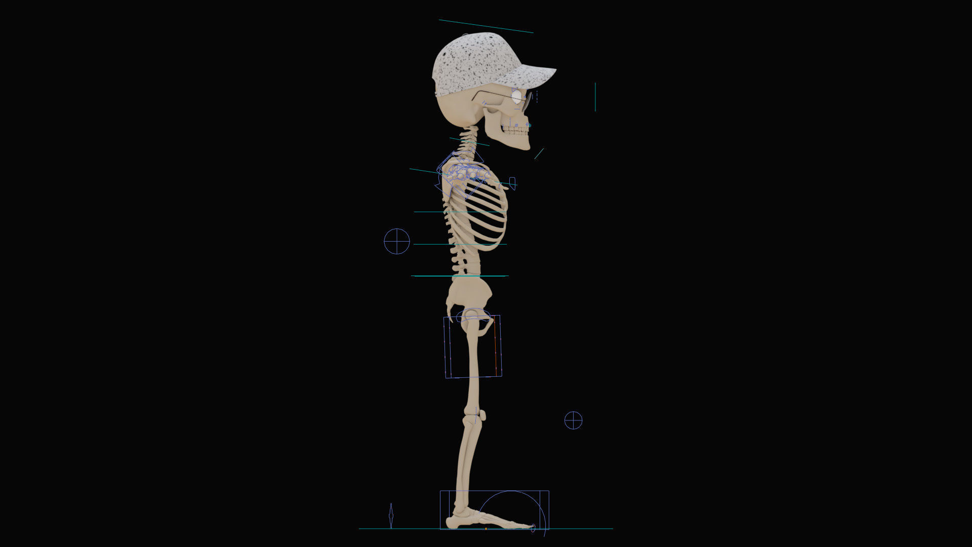 Stylized Human Skeleton Fully Rigged 3D model_35