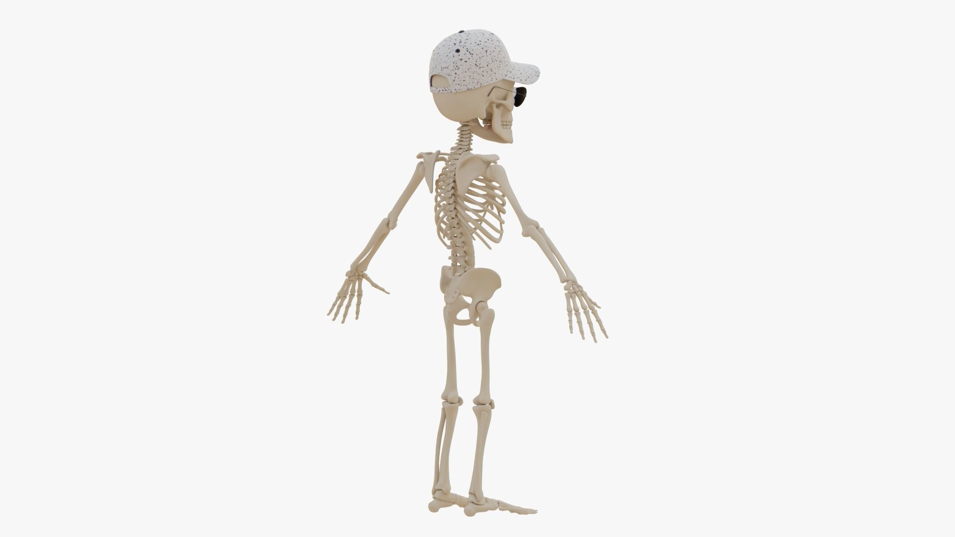 Stylized Human Skeleton Fully Rigged 3D model_53