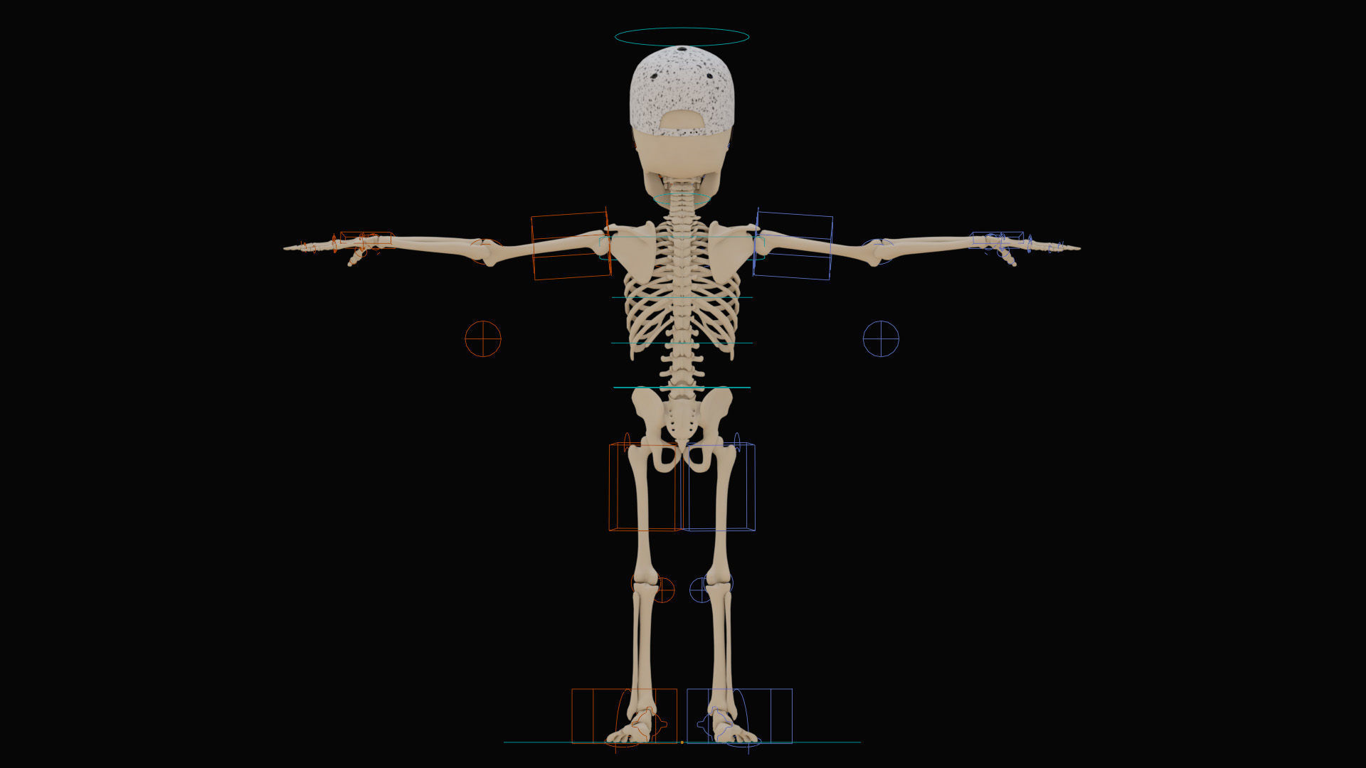 Stylized Human Skeleton Fully Rigged 3D model_34