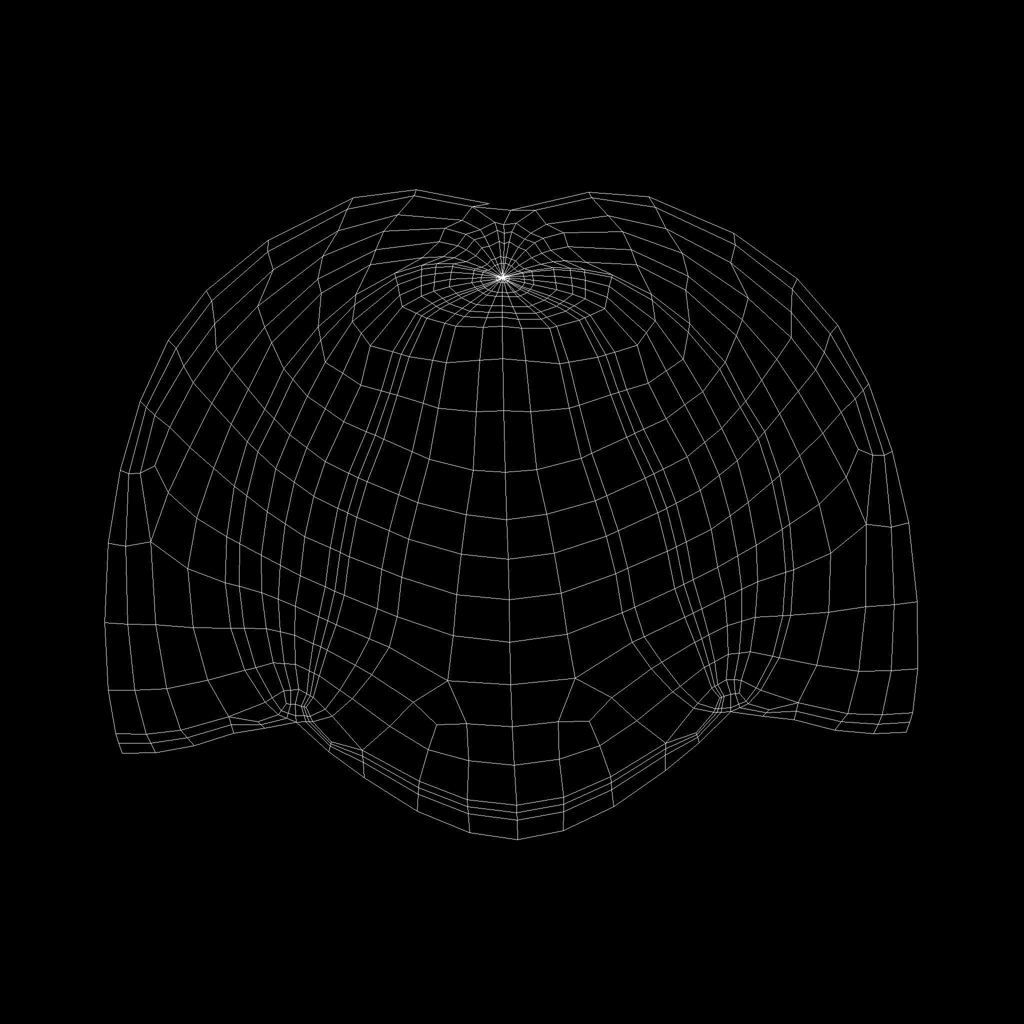 Stylized Human Skeleton Fully Rigged 3D model_46