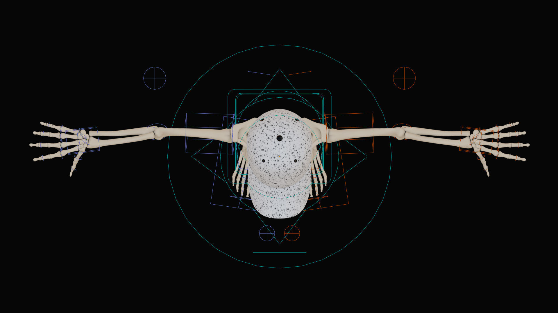 Stylized Human Skeleton Fully Rigged 3D model_36