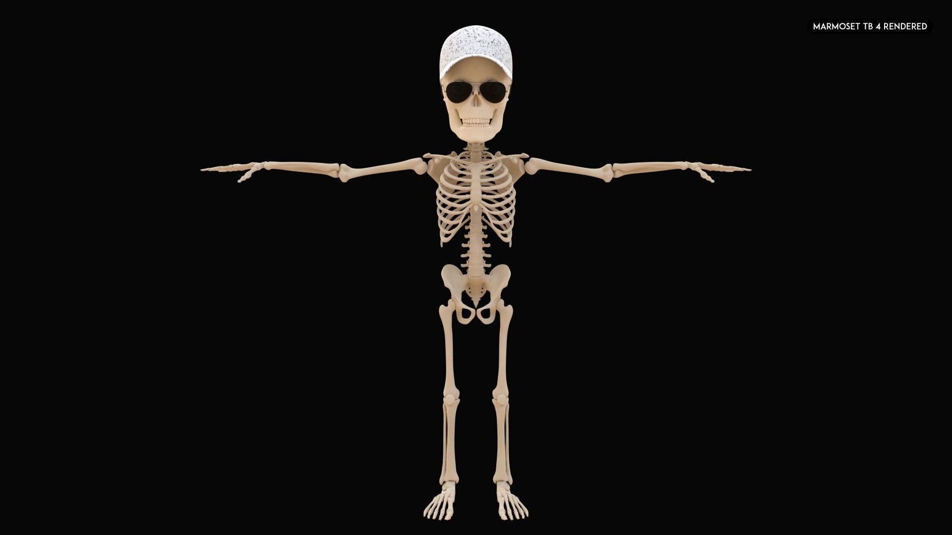 Stylized Human Skeleton Fully Rigged 3D model_20