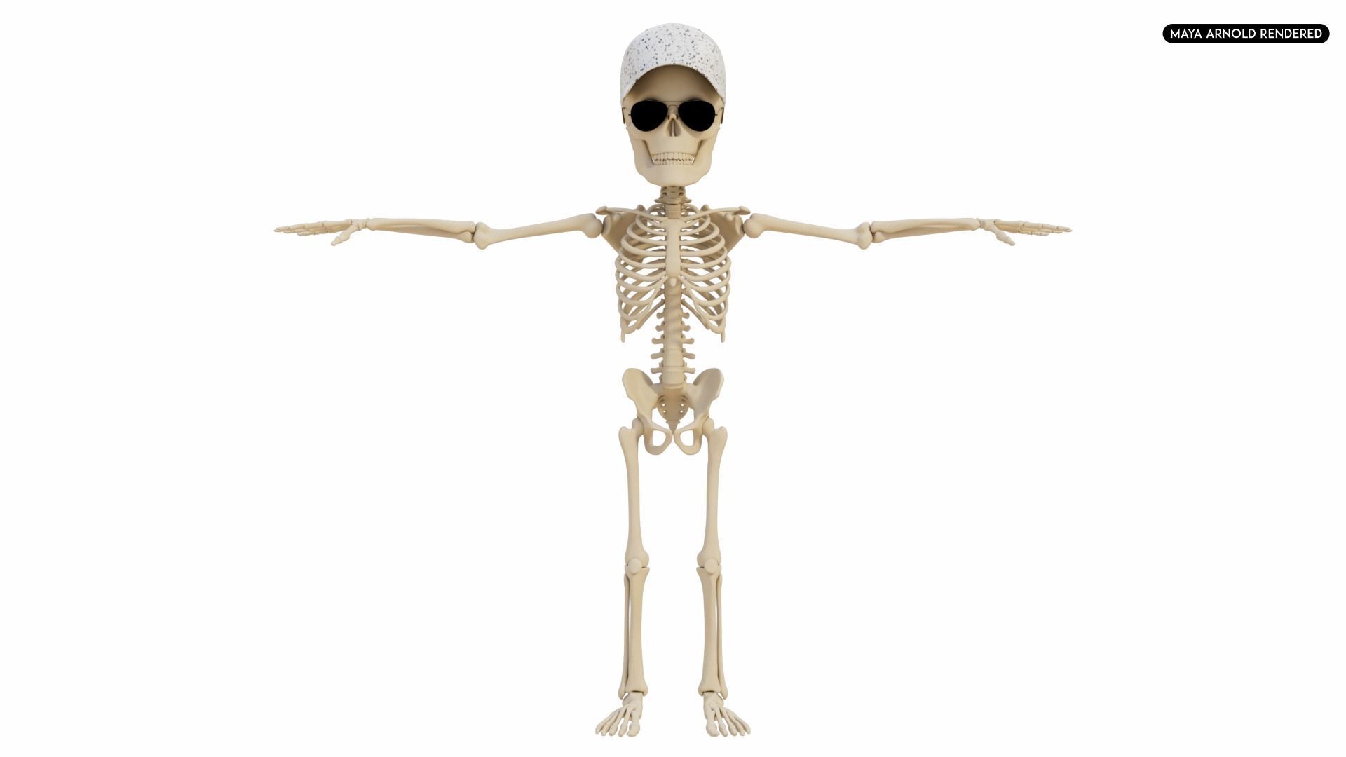 Stylized Human Skeleton Fully Rigged 3D model_32