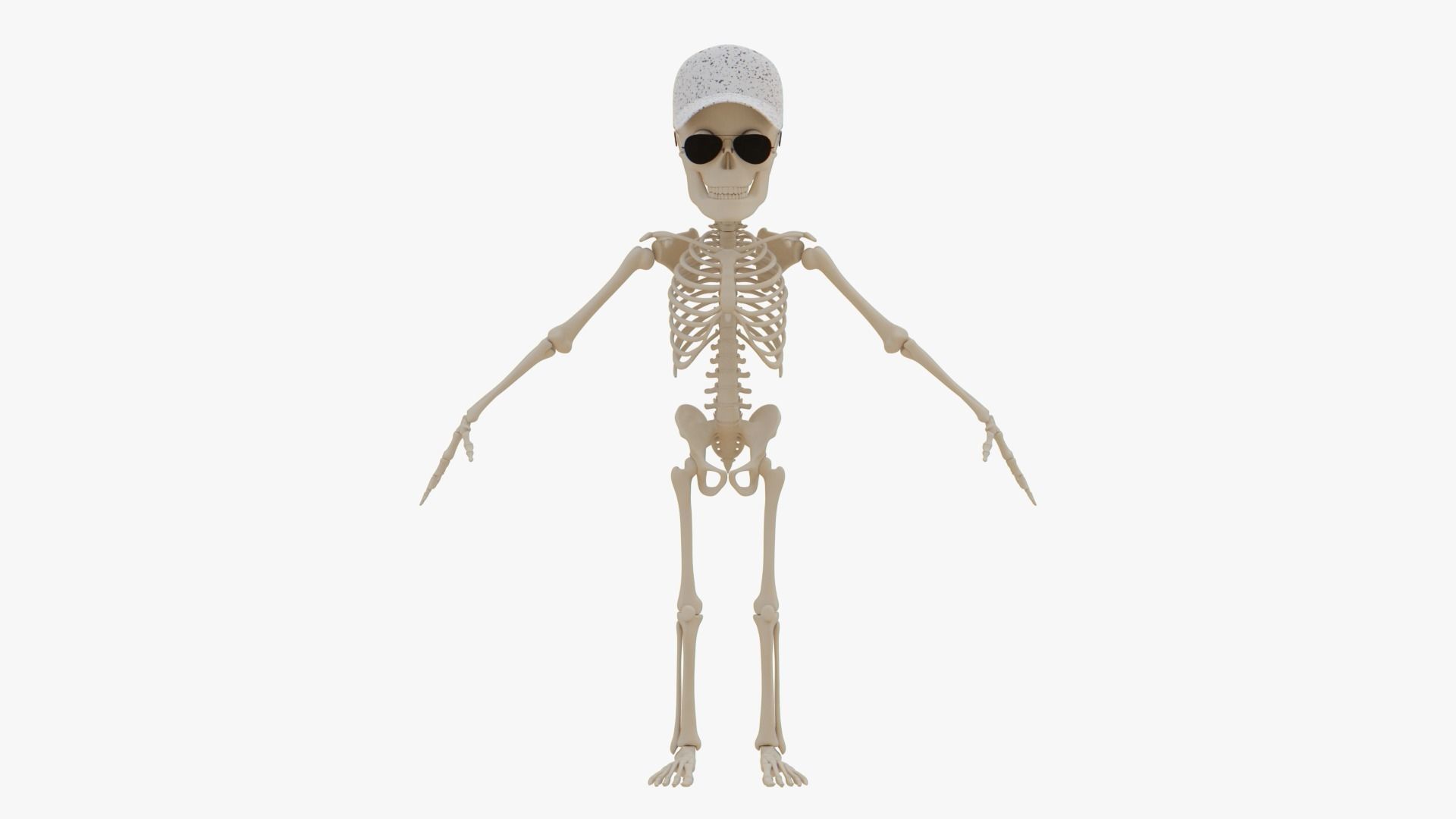 Stylized Human Skeleton Fully Rigged 3D model_49