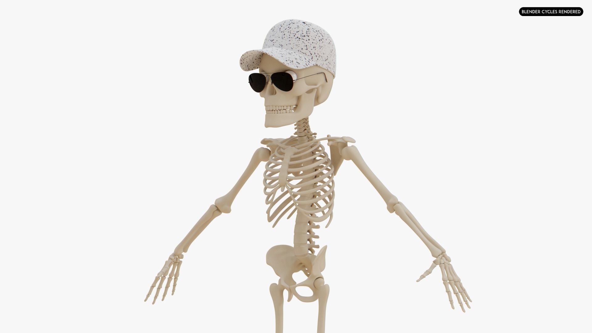 Stylized Human Skeleton Fully Rigged 3D model_3