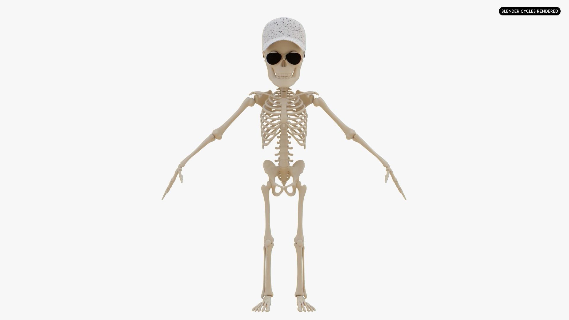 Stylized Human Skeleton Fully Rigged 3D model_5
