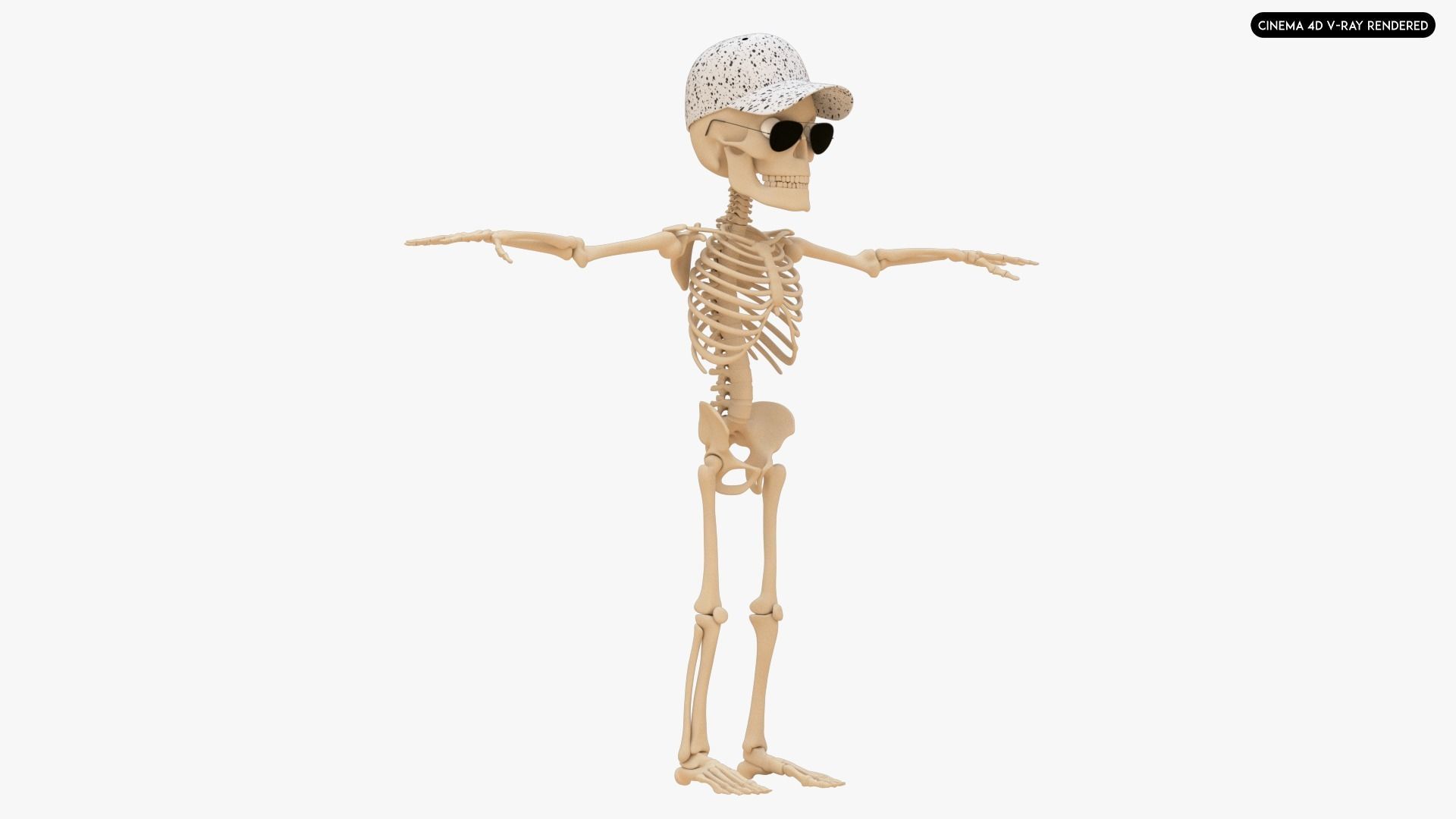Stylized Human Skeleton Fully Rigged 3D model_26