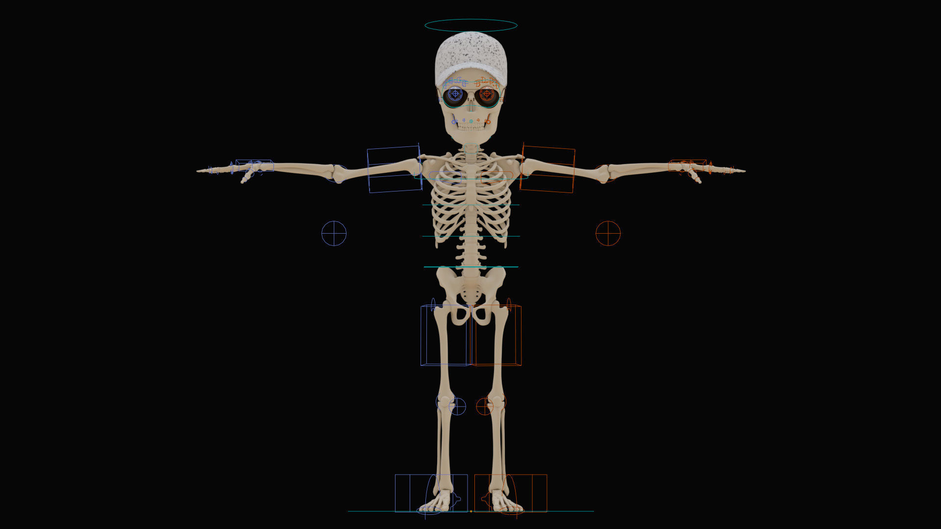 Stylized Human Skeleton Fully Rigged 3D model_33