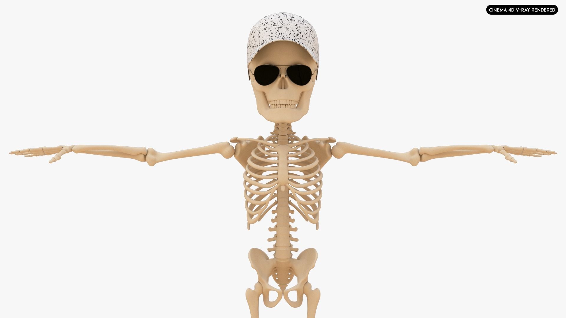 Stylized Human Skeleton Fully Rigged 3D model_23