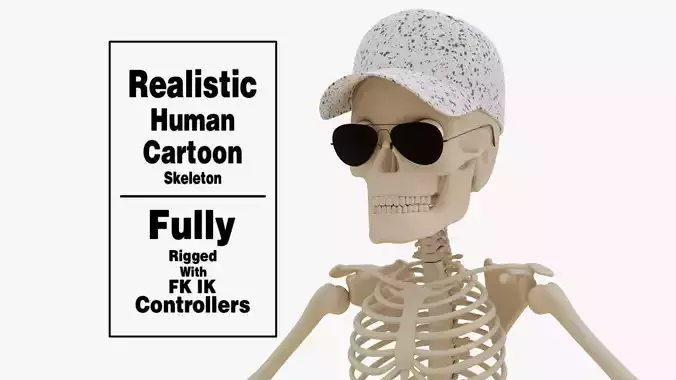 Stylized Human Skeleton Fully Rigged 3D model