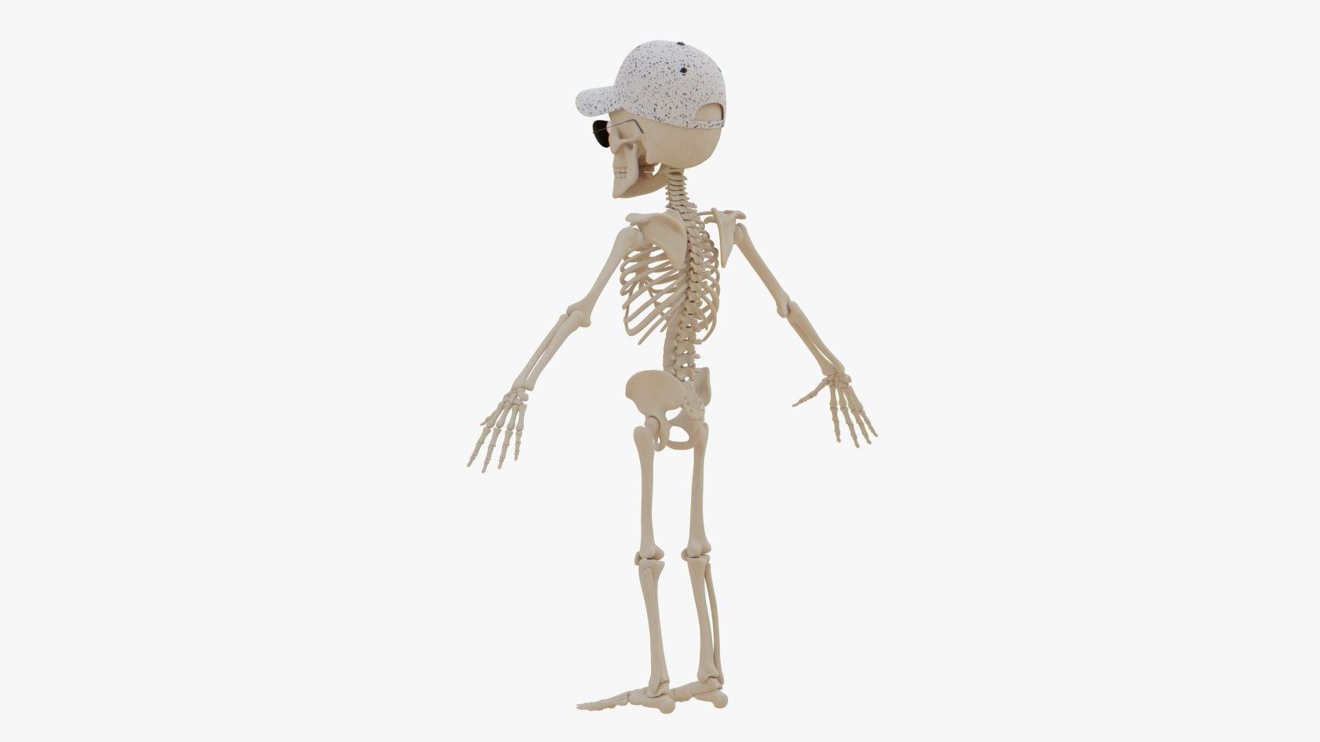 Stylized Human Skeleton Fully Rigged 3D model_56